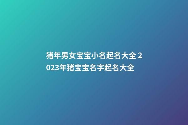 猪年男女宝宝小名起名大全 2023年猪宝宝名字起名大全